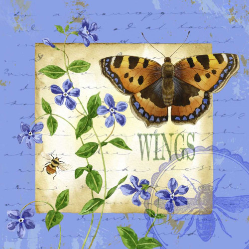 Butterfly Meadow II Poster Print - Jane Maday