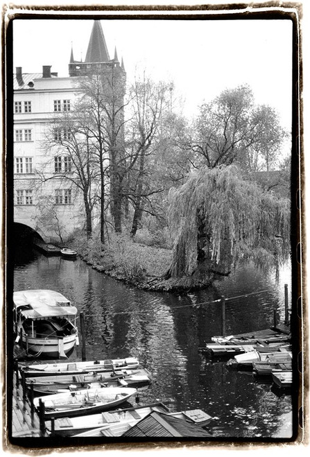 River Respite Poster Print - Laura DeNardo