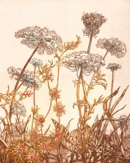 Field of Lace I Poster Print - B. Dauman