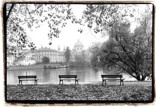 Peaceful Morning Poster Print - Laura DeNardo