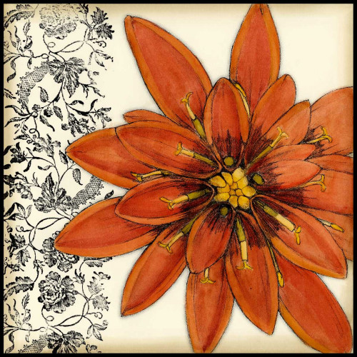 Botanica IV Poster Print - Jennifer Goldberger