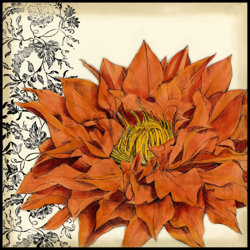 Botanica III Poster Print - Jennifer Goldberger