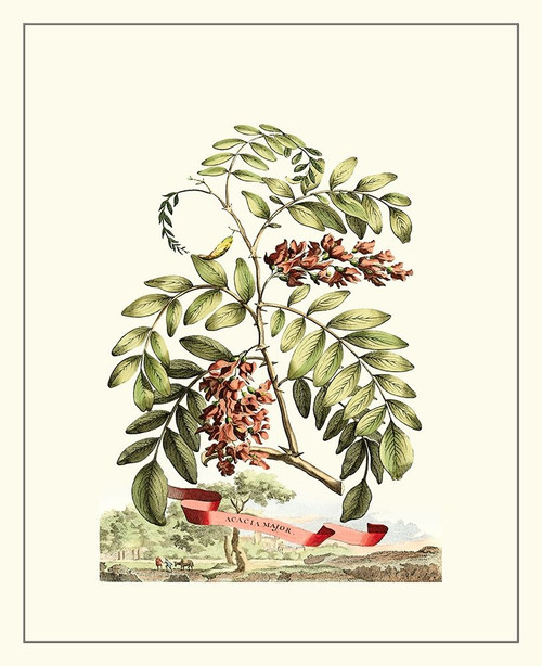 Grandiose View I Poster Print - Abraham Munting