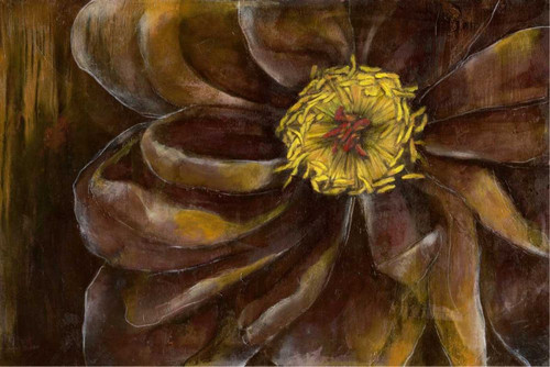 Floral Illusion II Poster Print - Jennifer Goldberger