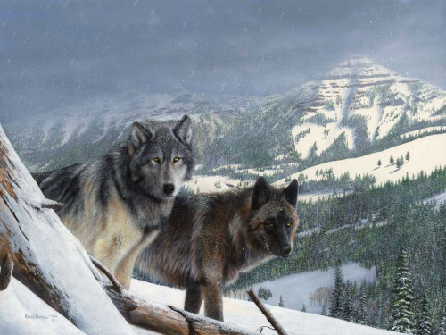 Vantage Point III Poster Print - Kevin Daniel