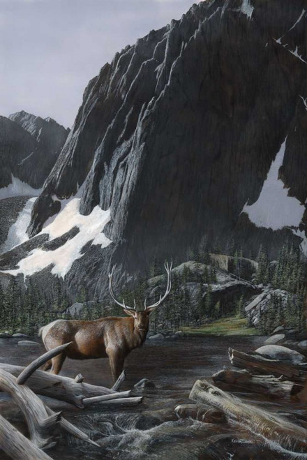 Mountainside Elk I Poster Print - Kevin Daniel