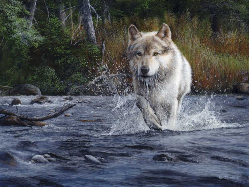 The Crossing Poster Print - Kevin Daniel