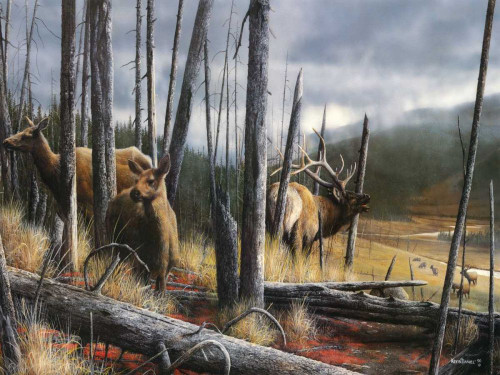 Consequence of Time Poster Print - Kevin Daniel