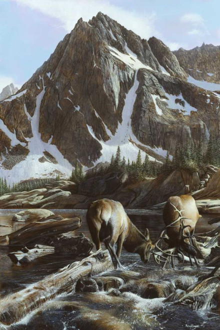 Mountainside Elk II Poster Print - Kevin Daniel