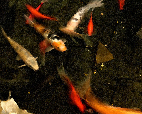 Goldfish Pond II Poster Print - Alicia Ludwig