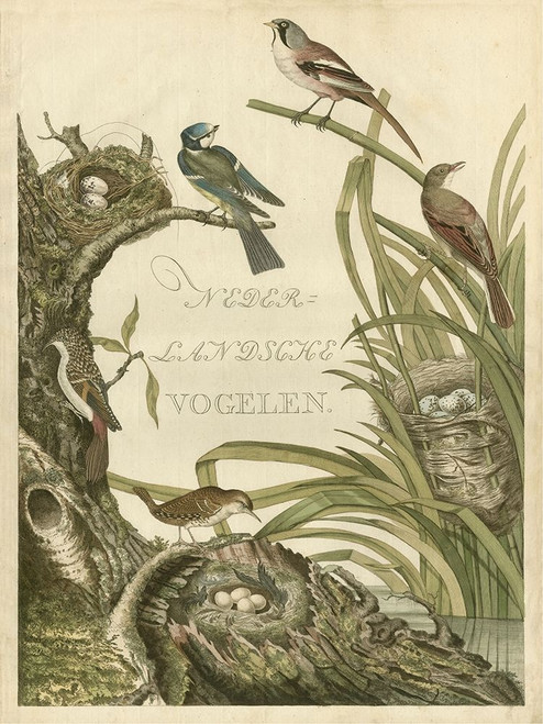 Sanctuary for Birds Poster Print - Nozeman