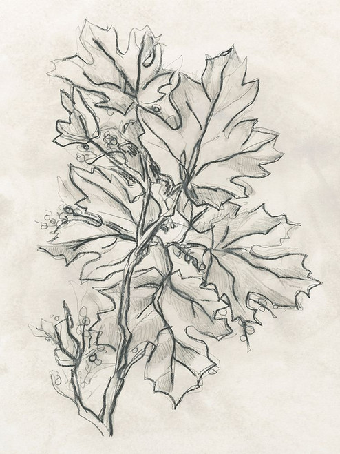 Vintage Lodge Leaves II Poster Print - June Erica Vess