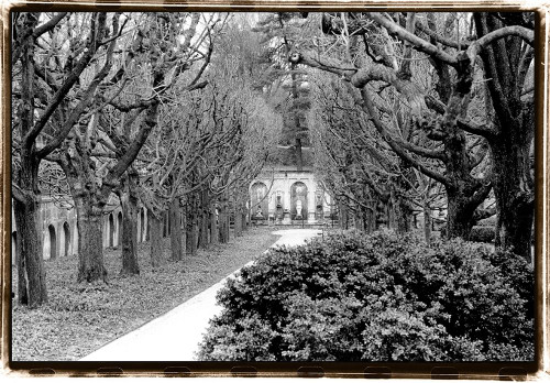 Garden Walk Poster Print - Laura DeNardo