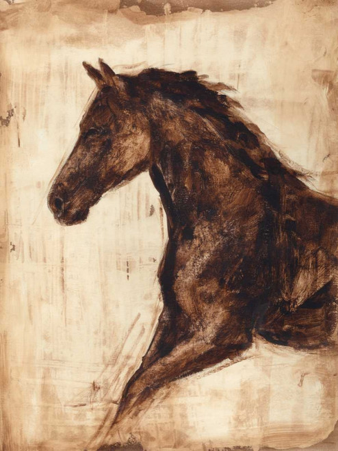 Weathered Equestrian I Poster Print - Ethan Harper