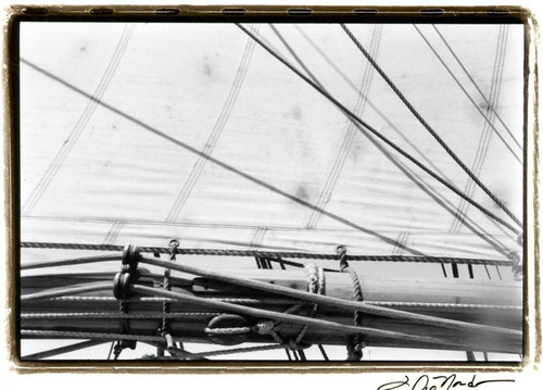 Undersail IV Poster Print - Laura DeNardo