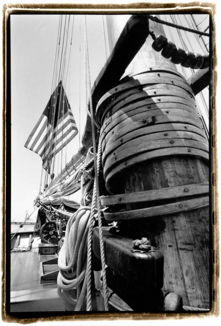 Set Sail V Poster Print - Laura DeNardo