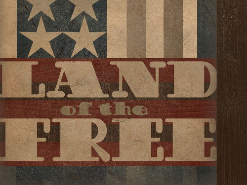 Patriotic Collection A Poster Print - June Erica Vess