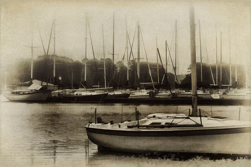 Waiting to Sail I Poster Print - Danny Head