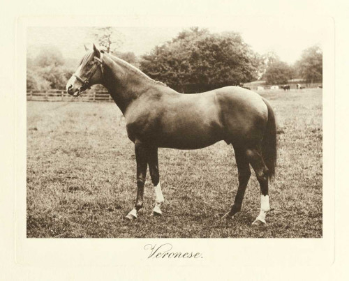 Veronese Poster Print - Clarence Hailey