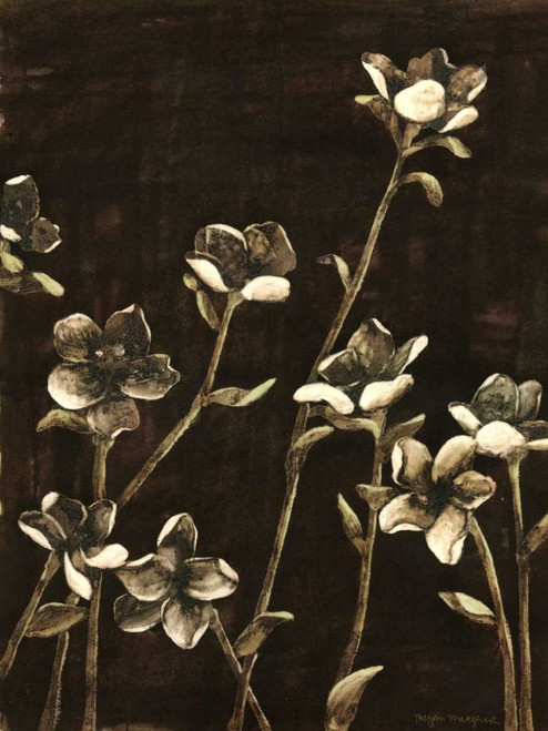 Medium Blossom Nocturne II Poster Print - Megan Meagher