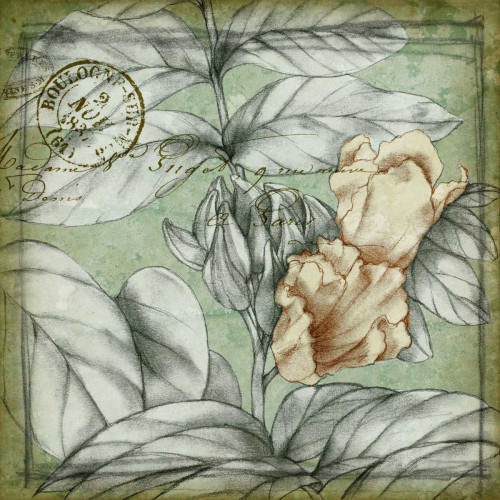 Postmark Tropicals III Poster Print - Jennifer Goldberger