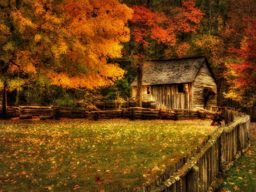 Autumn at the Mill Poster Print - Danny Head