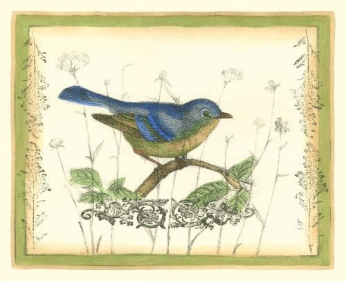 Bird and Wildflowers II Poster Print - Jennifer Goldberger