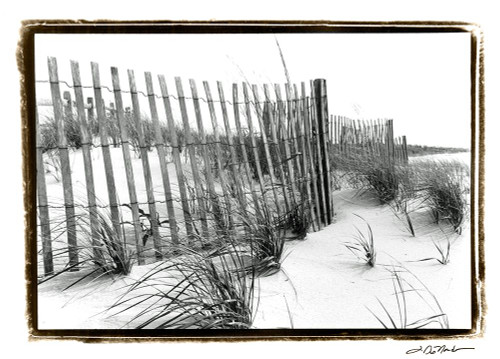 Beach Scape III Poster Print - Laura DeNardo