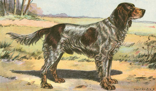 Mans Best Friend II Poster Print - Unknown