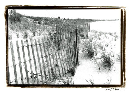 Beach Scape I Poster Print - Laura DeNardo