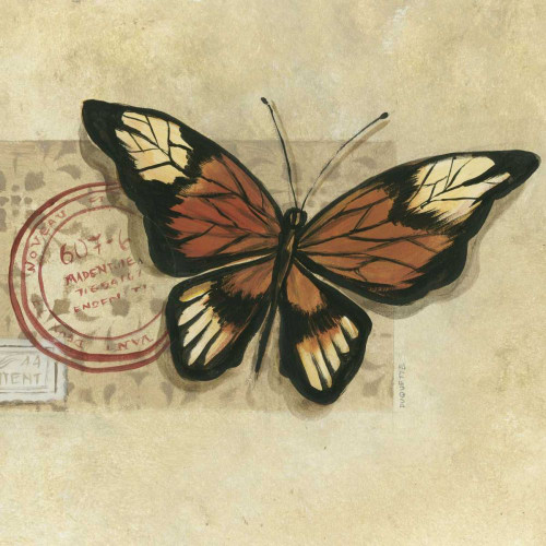 Le Papillon III Poster Print - Marianne D. Cuozzo