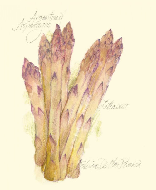 Argenteuil Asparagus Poster Print - Elissa Della-Piana