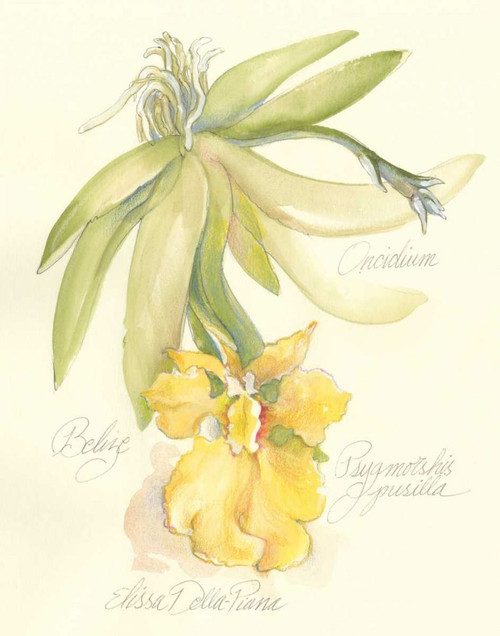 Elissas Garden III Poster Print - Elissa Della-Piana