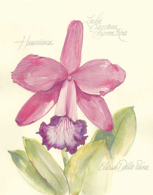 Elissas Garden V Poster Print - Elissa Della-Piana