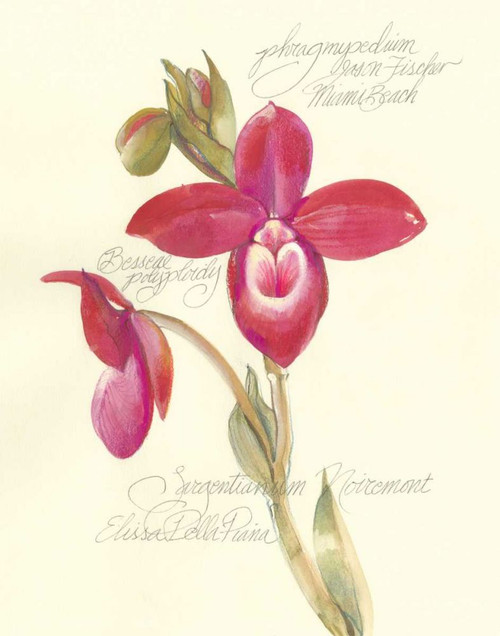 Elissas Garden II Poster Print - Elissa Della-Piana