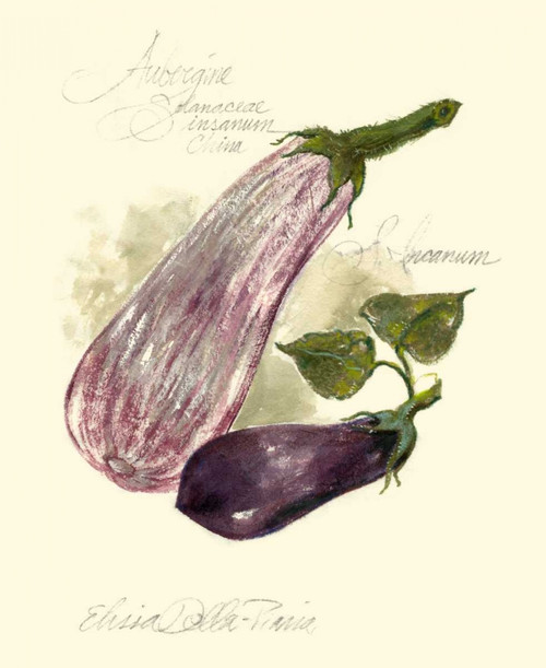 Aubergine Eggplant Poster Print - Elissa Della-Piana