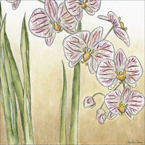 Sunset Garden IV Poster Print - Chariklia Zarris