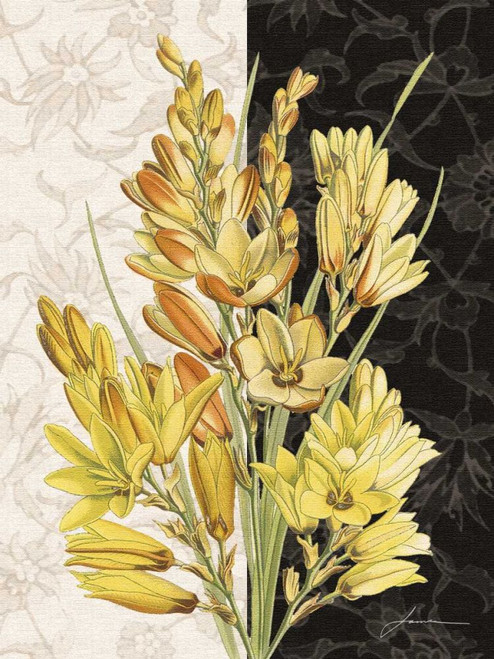 Centerpiece IV Poster Print - James Burghardt