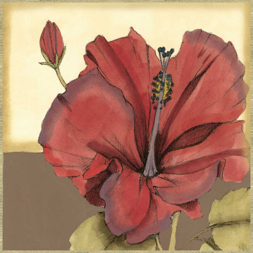 Cropped Sophisticated Hibiscus IV Poster Print - Jennifer Goldberger