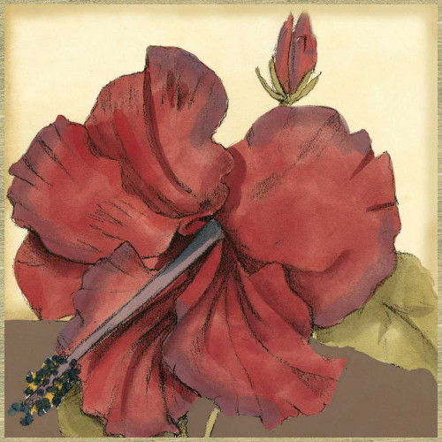 Cropped Sophisticated Hibiscus III Poster Print - Jennifer Goldberger
