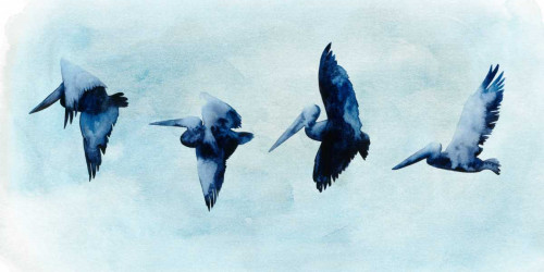 Coastal Covey I Poster Print - Grace Popp