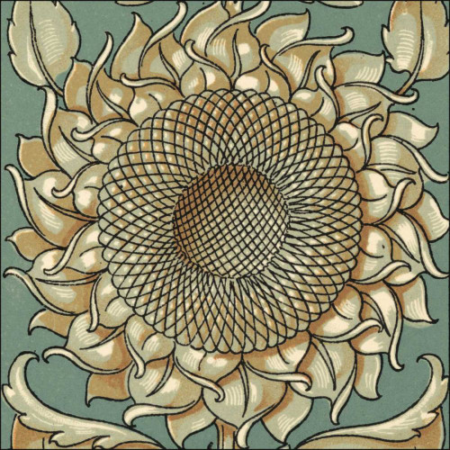 Sunflower Woodblock I Poster Print - Unknown