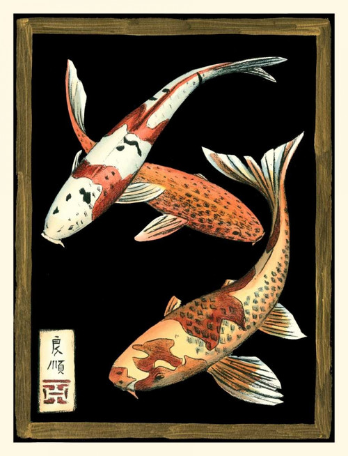 Koi Fish on Black I Poster Print - Chariklia Zarris