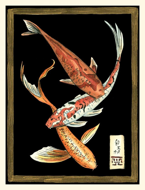 Koi Fish on Black II Poster Print - Chariklia Zarris
