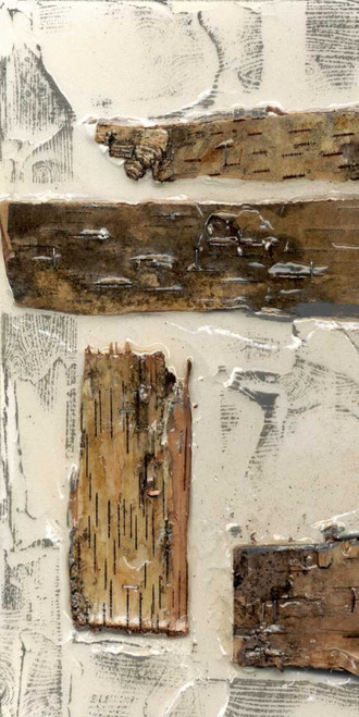 Birch Bark Abstract I Poster Print - Jennifer Goldberger