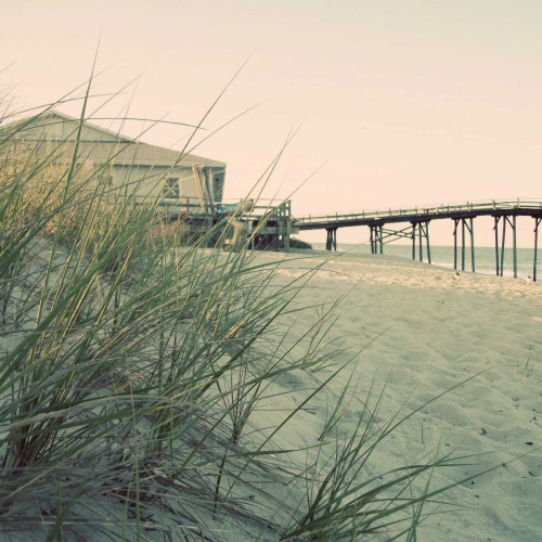 Summer of 76 III Poster Print - Alicia Ludwig