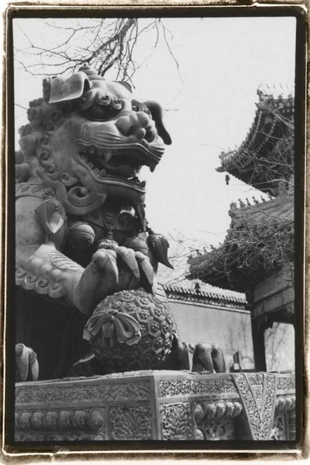 Imperial Lion, Beijing Poster Print - Laura DeNardo