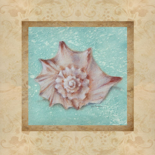 Shell and Damask II Poster Print - Rita Broughton