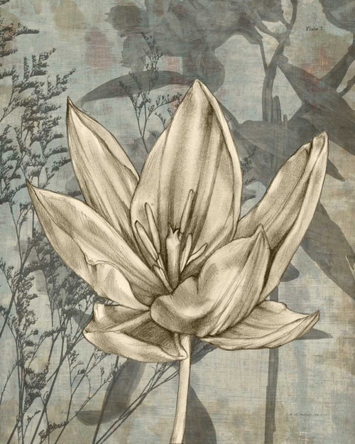 Tulip and Wildflowers VI Poster Print - Jennifer Goldberger