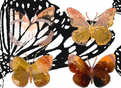 Layered Butterflies III Poster Print - Sisa Jasper